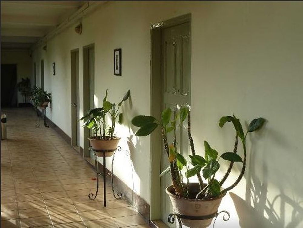 Hotel Swan 3*