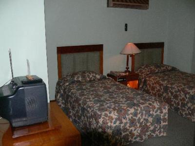 Swan Hotel 3*
